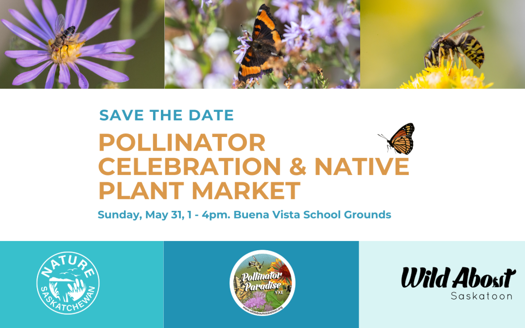 Pollinator Celebration & Native Plant Market 2026